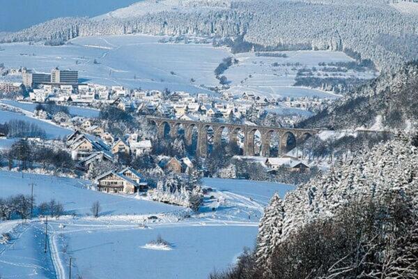 Deluxe Holiday Home In Brilon Wald Near Ski Area エクステリア 写真